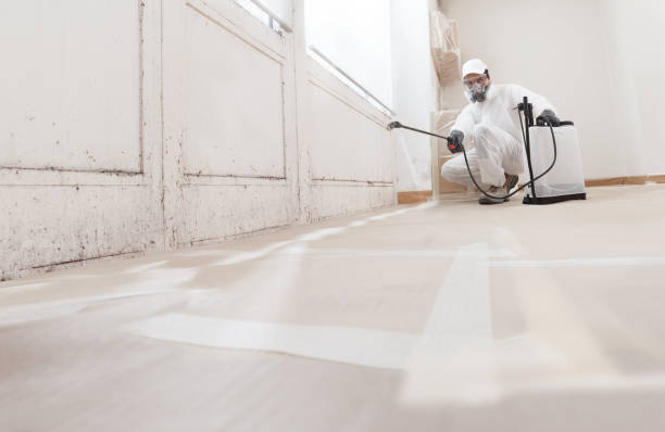24/7 Emergency Basement Mold Removal experts in Warrington, PA